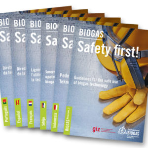 Priručnik o biogasu od proizvodnje do korišćenja