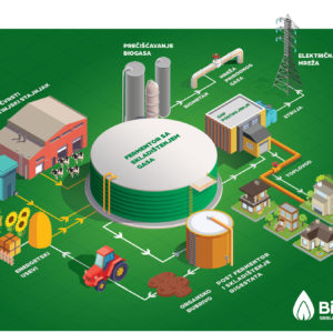 Biogas Infographics