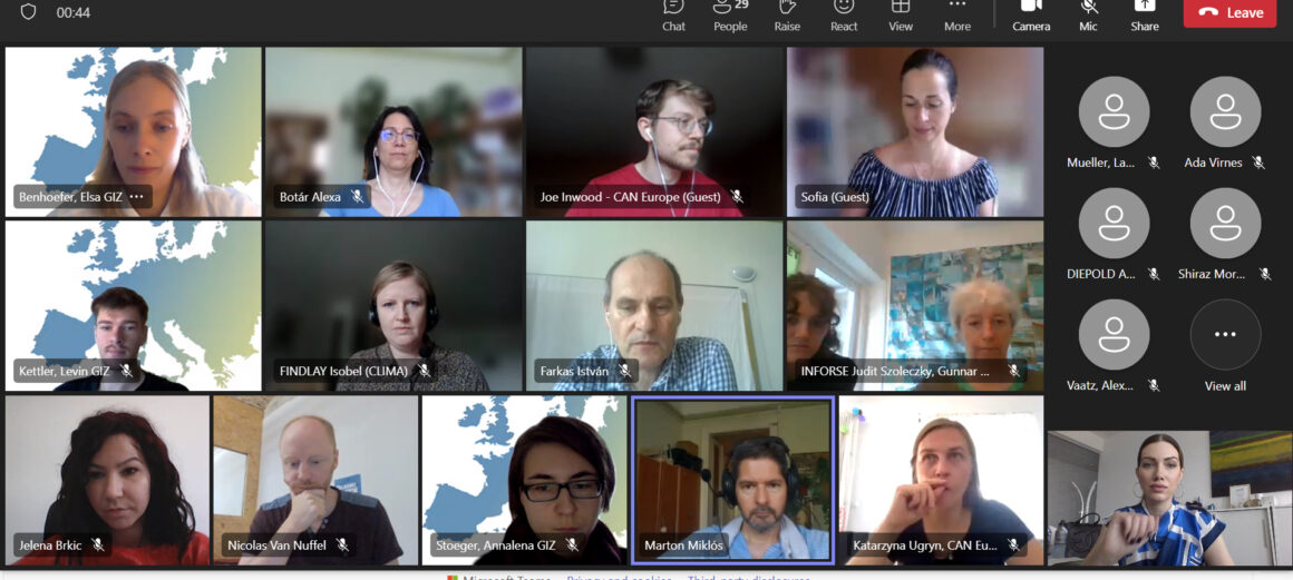 Participation in the EUKI Webinar