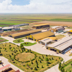 Zaboravljeni pioniri – kako smo izgubili veterane među biogas postrojenjima