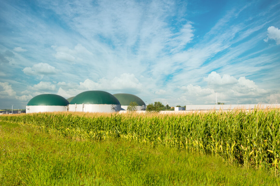 Extension of Power Purchase Agreements for Biogas Plants – A New Boost for Sector Development