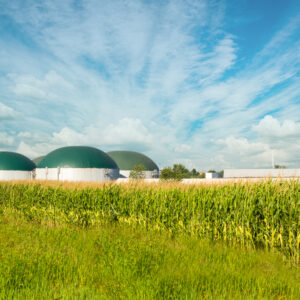 Produženje ugovora o otkupu za biogas postrojenja – novi vetar u leđa razvoju sektora